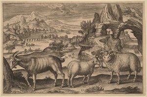 Une chèvre, une brebis et un bélier - Adriaen Collaert