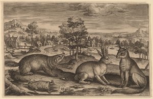 Une taupe, un blaireau, un lièvre cornu et un renard - Adriaen Collaert