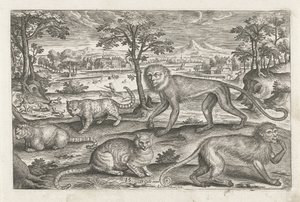 Singes et chats