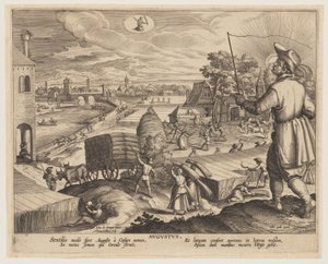 Août, à partir de douze mois - Adriaen Collaert