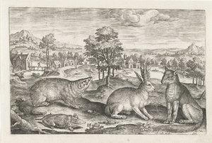 Animaux de la forêt - Adriaen Collaert