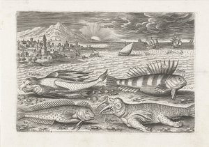 Quelques poissons et un morse sur la plage (Piscivm vivae icones) - Adriaen Collaert