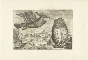 Quelques oiseaux dans un paysage - Adriaen Collaert