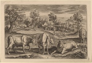 Quatre taureaux - Adriaen Collaert