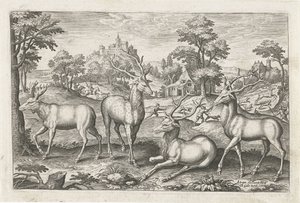 Cerfs - Adriaen Collaert