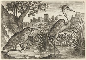  - Adriaen Collaert