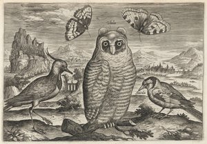  - Adriaen Collaert