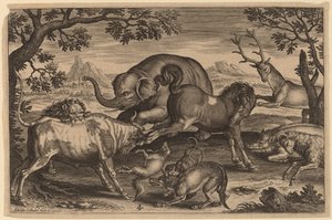 Lion, Taureau, Renard, Loup, Chien, Sanglier, Chèvre, Cheval, Éléphant et Cerf - Adriaen Collaert