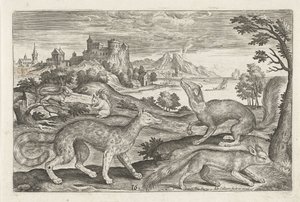 Martres, écureuils et un renard (Vierpotige dieren, Animalivm Qvaddrvpedvm) - Adriaen Collaert