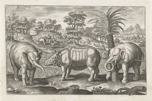 Éléphants et rhinocéros (Animalivm Qvaddrvpedvm)