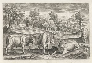 Bovins - Adriaen Collaert
