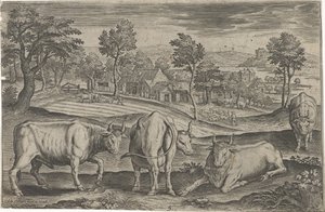 Bovins - Adriaen Collaert