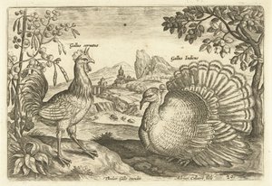 Deux poules dans un paysage - Adriaen Collaert