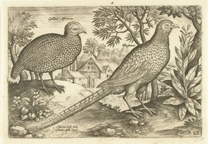 Deux poules dans un paysage - Adriaen Collaert