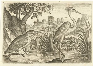 Deux oiseaux dans un paysage