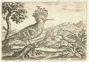 Deux oiseaux dans un paysage - Adriaen Collaert