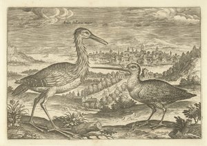 Deux oiseaux dans un paysage