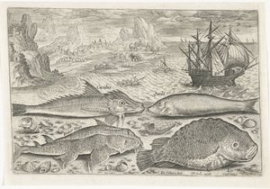 Quatre poissons sur la plage - Adriaen Collaert
