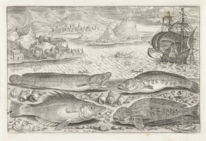 Quatre poissons sur la plage - Adriaen Collaert