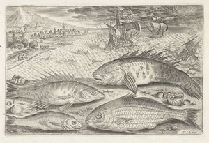 Quatre poissons sur la plage - Adriaen Collaert