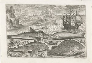 Quatre poissons sur la plage - Adriaen Collaert