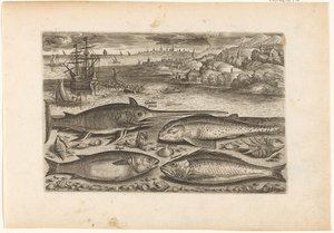 Quatre poissons sur la plage - Adriaen Collaert