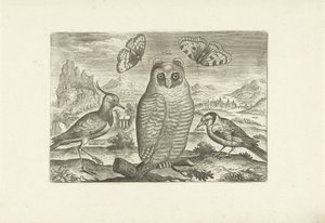 Oiseaux et papillons dans un paysage (Oiseaux)