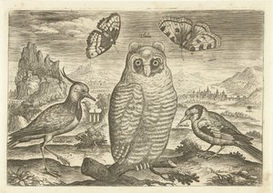 Oiseaux et papillons dans un paysage (Avivm vivae)
