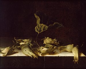 Nature morte avec noisettes, 1696 - Adrian Coorte