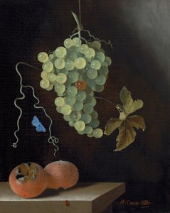 Nature morte avec une grappe de raisins suspendue, deux nèfles et un papillon - Adrian Coorte