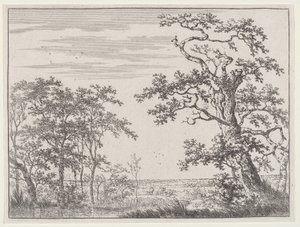 Paysage avec un ruisseau et un arbre ancien - Adriaen Hendricks Verboom
