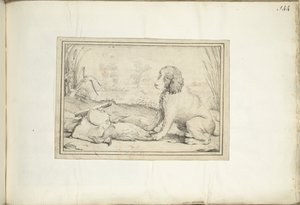 Chien à côté d