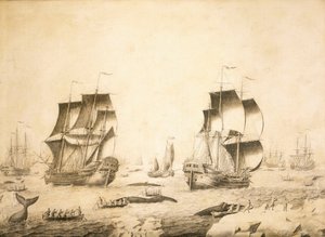 Baleiniers dans la glace - Adriaen or Abraham Salm