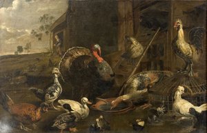 Poules, canards et dindon