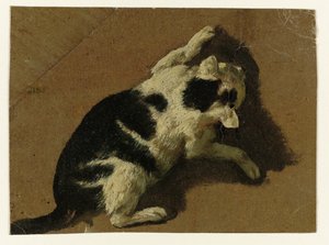 Chat jouant près d