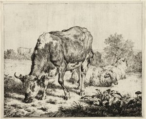 Une vache et trois moutons