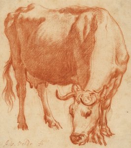 Une vache broutant, vers 1663 (dessin à la craie rouge) - Adriaen van de Velde