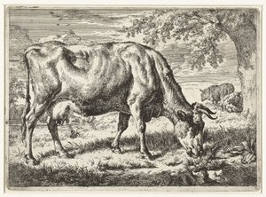 Vache broutant et deux moutons - Adriaen van de Velde