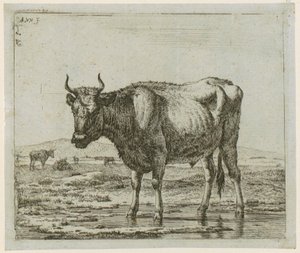  - Adriaen van de Velde