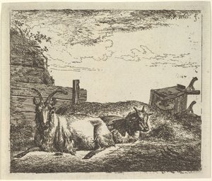 Chèvres couchées, de Différents Animaux - Adriaen van de Velde