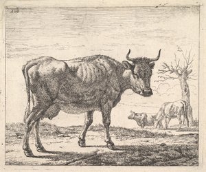 Trois vaches - Adriaen van de Velde