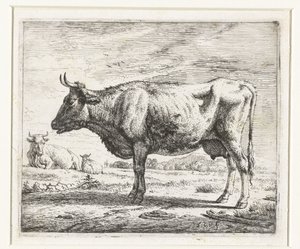 Deux vaches et un mouton - Adriaen van de Velde