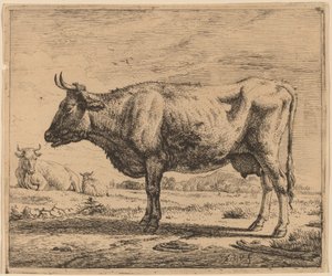 Deux Vaches et un Mouton - Adriaen van de Velde