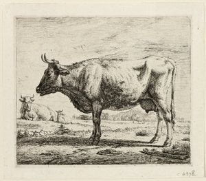 Deux vaches et un mouton - Adriaen van de Velde