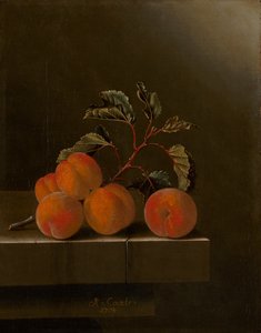Nature morte avec cinq abricots, 1704