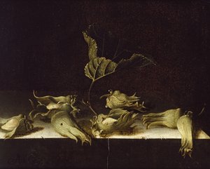 Nature morte avec noisettes