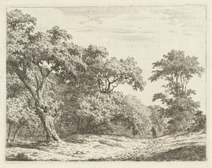 Paysage avec arbres et un homme en route