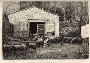 Le commerce des moutons, tout le personnel de la ferme était employé à cette tâche, garçon, serviteur, sous la supervision du berger, gravure d