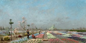 Les Champs de Jacinthe en Fleurs à la Pépinière Van Houtte, Gand avec vue sur l