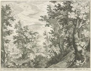 Paysage forestier